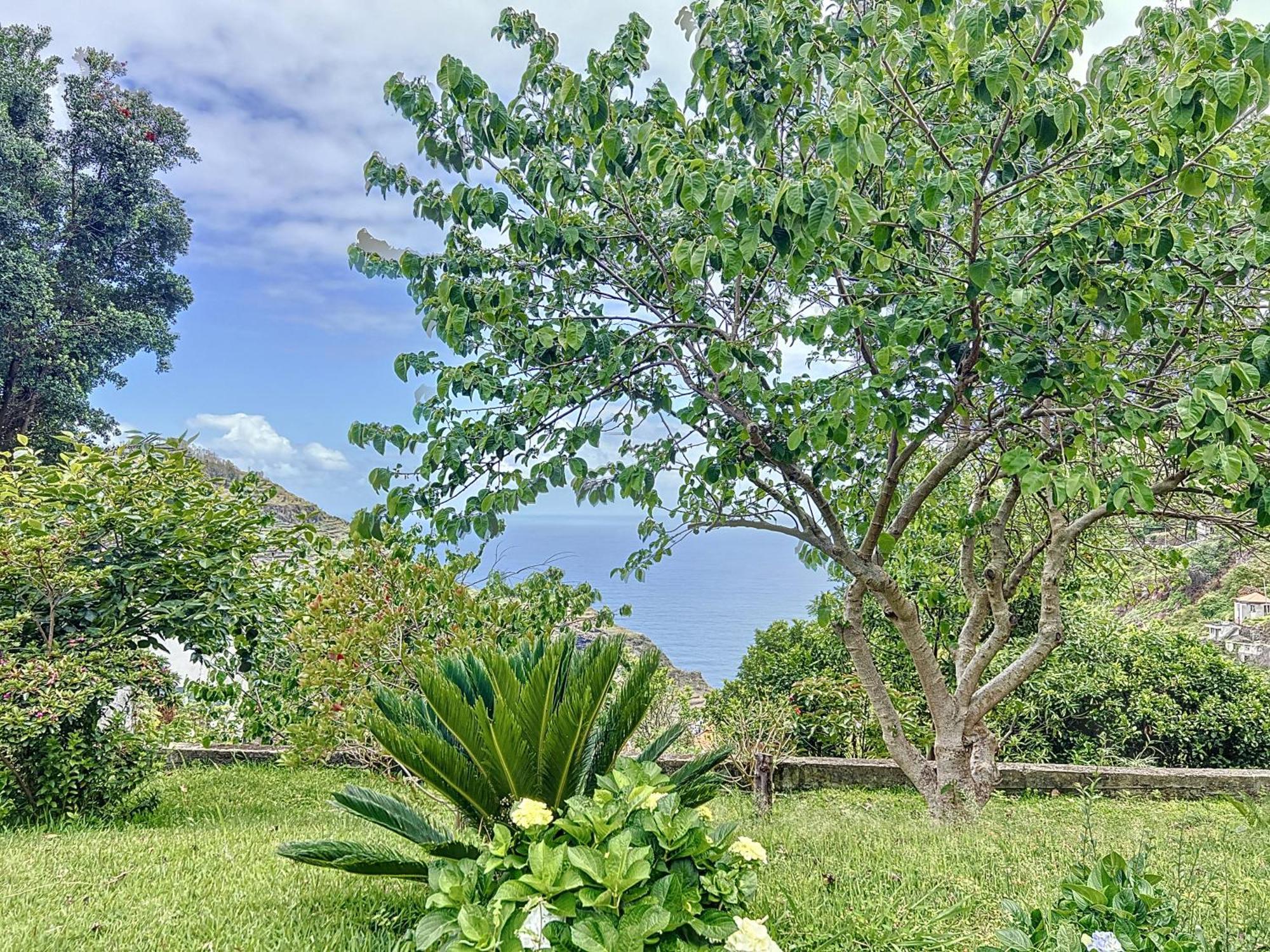 Quinta Do Serrado II Ribeira da Janela Exteriér fotografie